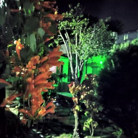 Last Chance Cafe And Guest House Rishīkesh Esterno foto